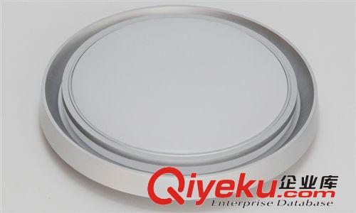 廠家直銷 LED吸頂燈 LED臥室吸頂燈 圓形現代簡約RJ-XD107（白）