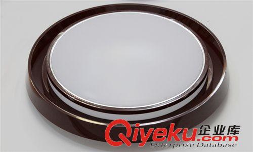 廠家直銷 LED吸頂燈 LED臥室吸頂燈 圓形現(xiàn)代簡約RJ-XD105（銀）原始圖片2