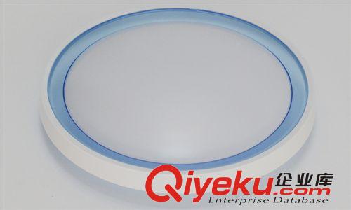 廠家直銷 LED吸頂燈 LED臥室吸頂燈 圓形現代簡約RJ-XD107（白）原始圖片2
