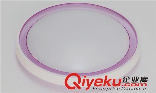 廠家直銷 LED吸頂燈 LED臥室吸頂燈 圓形現代簡約RJ-XD107（白）原始圖片3