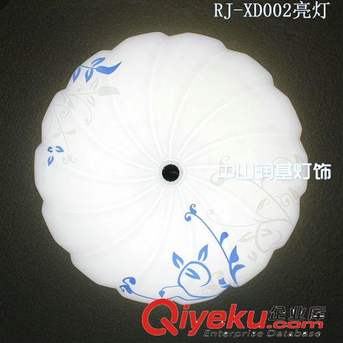 中山家居燈飾廠供應現代 全場瘋狂9.5折  led吸頂燈新款RJ-XD007