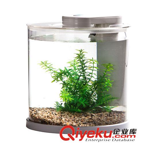 亞克力ed燈 圓柱迷你桌面生態(tài)過濾免換水魚缸批發(fā) 創(chuàng)意水族箱