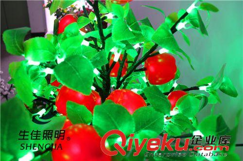 2014新款樹燈產(chǎn)品上市 LED仿真盆栽桔子臺燈 水果樹燈全網(wǎng){zd1}價原始圖片2