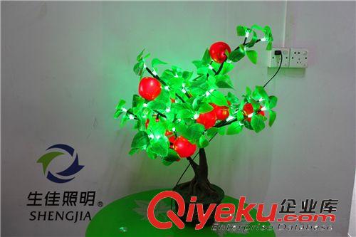 2014新款樹燈產(chǎn)品上市 LED仿真盆栽桔子臺燈 水果樹燈全網(wǎng){zd1}價原始圖片3
