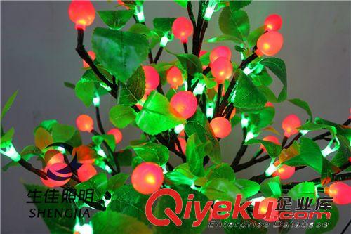 shengjia Potted vase ball led light原始圖片2