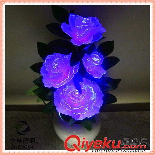 LED創(chuàng)意光纖花樹燈 新奇特裝飾品仿真花盆送禮藝術(shù)變色燈七彩牡丹原始圖片3
