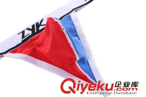 001-DD 男士內褲 激凸提型 性感時尚 棉 單丁