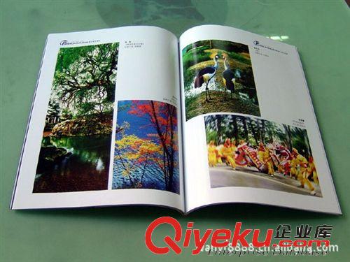 [加工]-供應(yīng)中山PVC卡加工印刷/佛山四色畫冊印刷原始圖片2