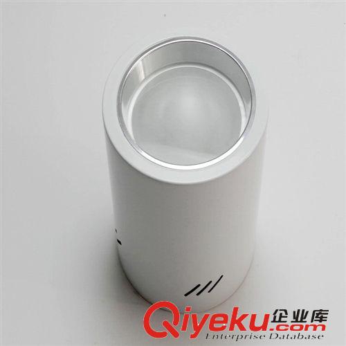 明裝筒燈.4寸5寸6寸8寸。明裝防霧筒燈.歡迎訂購LY-DT6-2工程筒燈原始圖片2