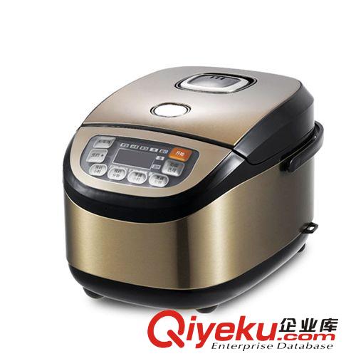 洋聲電飯鍋 夏季促銷 定時預約 多功能智能電飯煲廠家直銷批發
