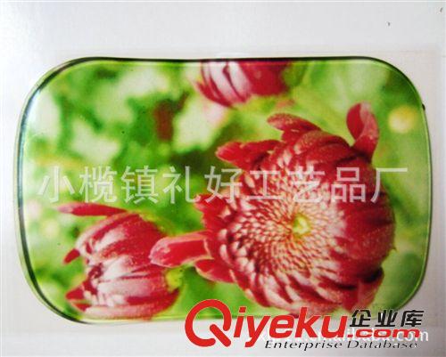 爆款熱銷商品多功能車載防滑墊 蘋果手機PU防滑墊原始圖片3