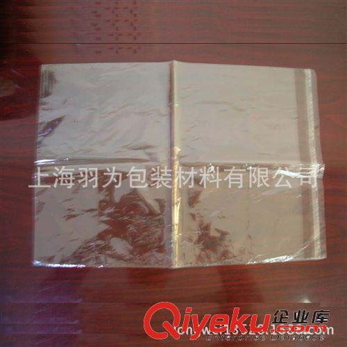 BB精美CPE磨砂料夾鏈袋 半透明貼骨自封拉鏈膠袋