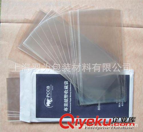 BB精美CPE磨砂料夾鏈袋 半透明貼骨自封拉鏈膠袋原始圖片2