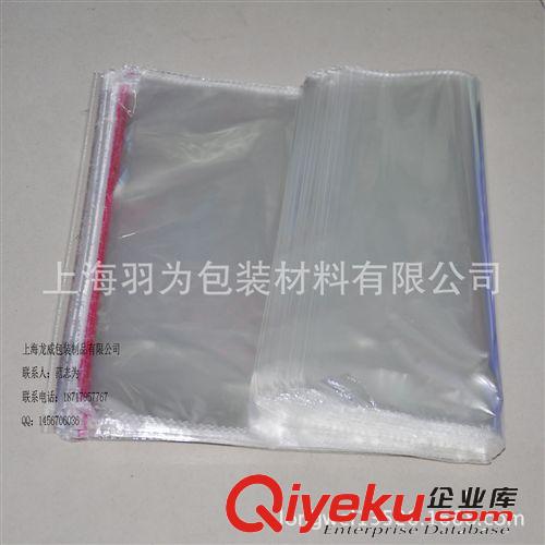 BB精美CPE磨砂料夾鏈袋 半透明貼骨自封拉鏈膠袋原始圖片3