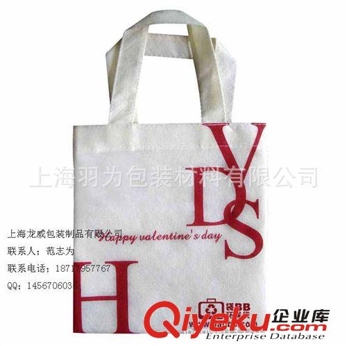 廠家推薦各種規(guī)格無紡布袋 可定做環(huán)保袋 款式多樣原始圖片2