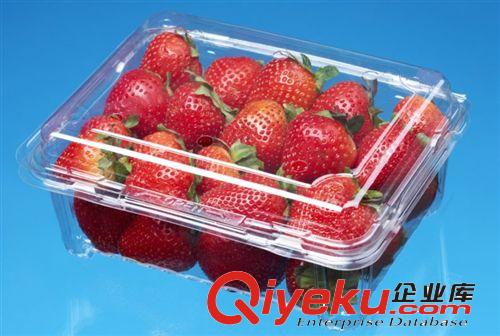 CJ-500M1 批發(fā)一次性塑料環(huán)保餐盒/透明盒/草莓盒/藍(lán)莓盒/水果盒