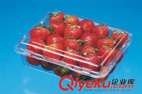 CJ-250U 批發一次性塑料環保餐盒/透明盒/草莓盒/藍莓盒/水果盒