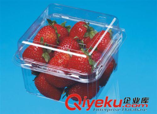 CJ-250U 批發一次性塑料環保餐盒/透明盒/草莓盒/藍莓盒/水果盒