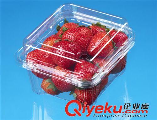 CJ-250HA1 批發(fā)一次性塑料環(huán)保餐盒/透明盒/草莓盒/藍(lán)莓盒/水果盒