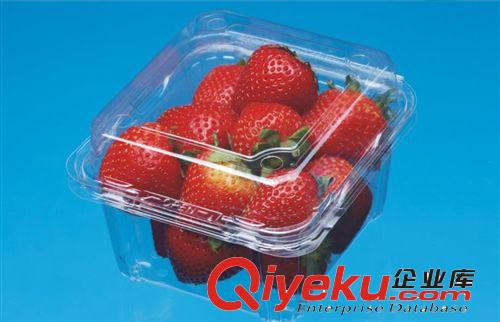 CJ-250HA1 批發(fā)一次性塑料環(huán)保餐盒/透明盒/草莓盒/藍(lán)莓盒/水果盒