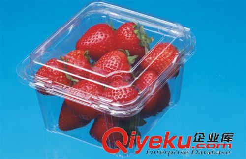 CJ-250HA1 批發(fā)一次性塑料環(huán)保餐盒/透明盒/草莓盒/藍(lán)莓盒/水果盒