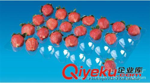 24粒裝 批發(fā)一次性塑料環(huán)保餐盒/透明盒/草莓盒/藍(lán)莓盒/水果盒