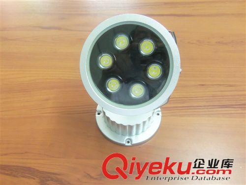 廠家直銷 室外燈飾 LED 6W投光燈 庭院燈 戶外燈 照樹燈