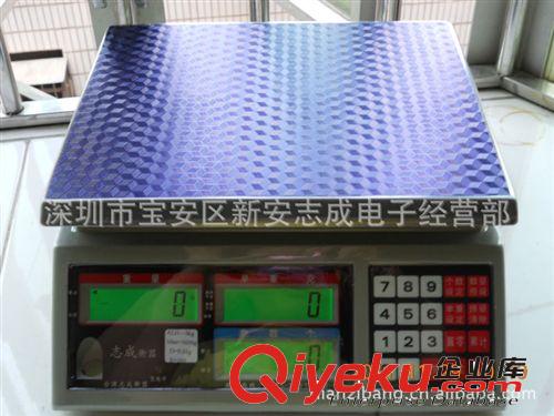 廣東知名電子秤廠家，專業(yè)提供廣州電子秤銷售價(jià)格與電子秤維修F