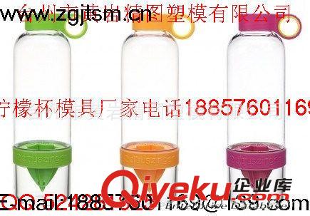 專業(yè)生產(chǎn){zx1}流行塑料杯榨汁sq成套模具