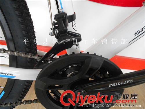 菲利普 21速雙碟剎  山地車原始圖片3