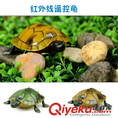 紅外線(xiàn)遙控烏龜 昆蟲(chóng)玩具 遙控動(dòng)物 龜玩具遙控玩具仿真昆蟲(chóng)玩具