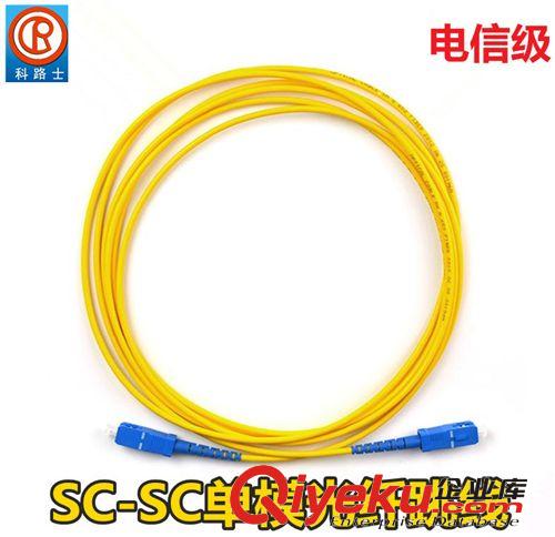 AMPTYCO品牌 安普泰科zp SC-SC 3米 單模光纖跳線 收發器 尾纖