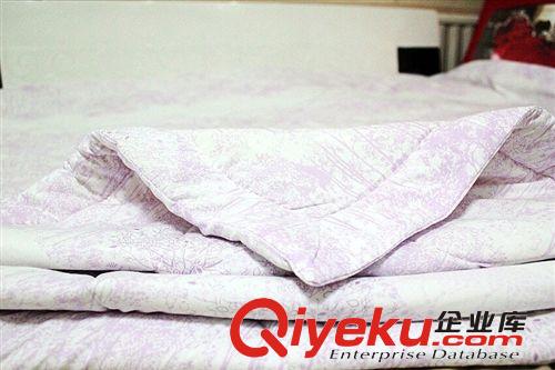 天津廠家專業OEM貼牌生產ODM來樣加工各種款式保健磁療夏涼被原始圖片3