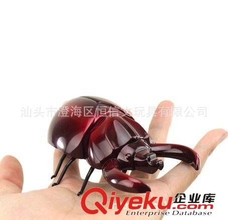 紅外線仿真遙控昆蟲 四通道遙控昆蟲甲殼蟲蜜蜂七星瓢蟲 昆蟲玩具原始圖片3