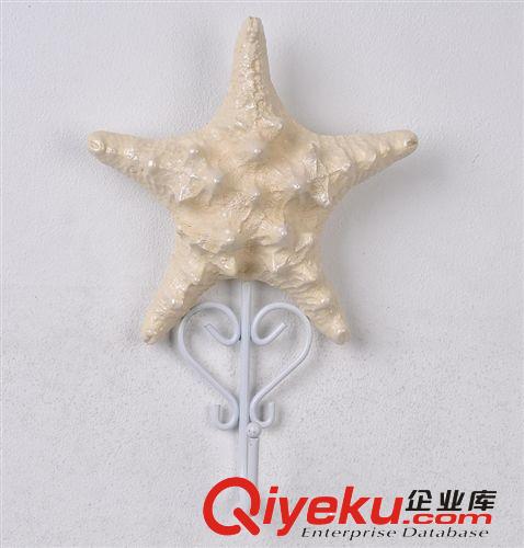 供應(yīng)批發(fā) 創(chuàng)意海洋貝殼掛鉤 海星掛鉤 衣帽掛鉤 居家用品