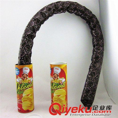 薯片彈跳蛇 整人玩具 整蠱玩具 薯片桶 搞怪玩具 兒童玩具 簡裝筒原始圖片2