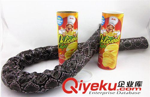 薯片彈跳蛇 整人玩具 整蠱玩具 薯片桶 搞怪玩具 兒童玩具 簡裝筒原始圖片3