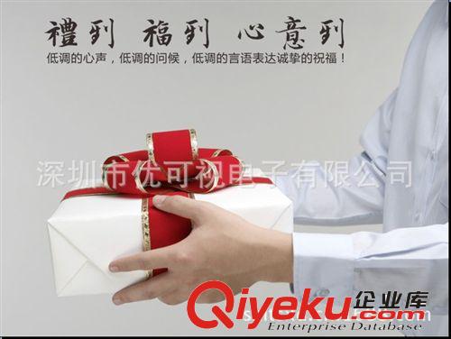 車載充電器套裝 兩件套 商務(wù)禮品 國慶禮品