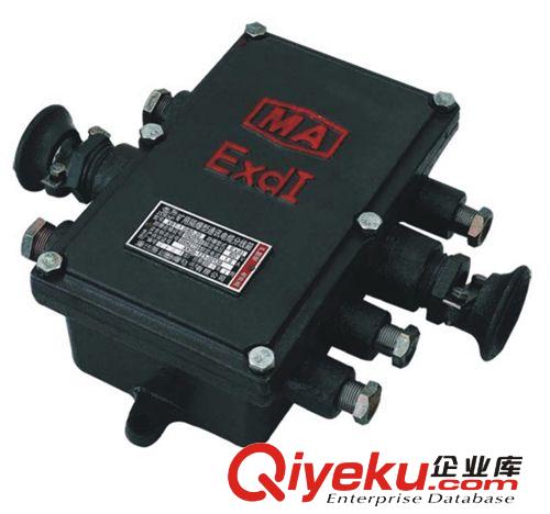 XBT-1.0/60（10對(duì)、20對(duì)、30對(duì)、50對(duì))礦用訊電纜分線(xiàn)箱