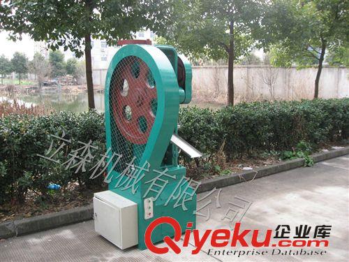 立森供應(yīng)密封件壓片機 可壓制各類粉末材質(zhì) 自動壓片出片原始圖片2