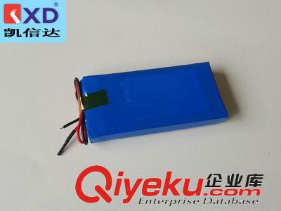 鋰電池 電池組 聚合物鋰電池組 12V800mAh 聚合物電池