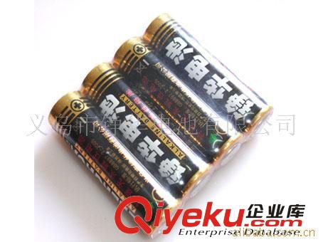 供應(yīng)環(huán)保五號堿性電池（LR-6 AAA）原始圖片2