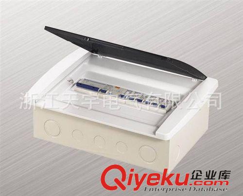 本廠供應(yīng)小區(qū)豪華型住宅配線箱 暗裝配電箱原始圖片2