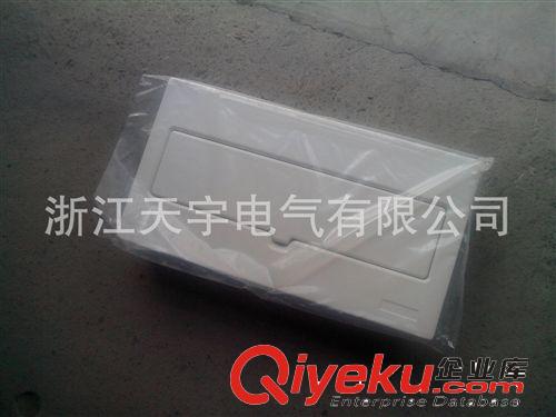 本廠供應(yīng)小區(qū)豪華型住宅配線箱 暗裝配電箱原始圖片3