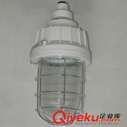 供應復合防爆燈（節能燈） 飛策（節能燈） 復合防爆燈原始圖片2