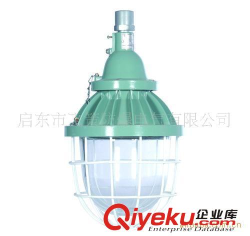 供應復合防爆燈（節能燈） 飛策（節能燈） 復合防爆燈