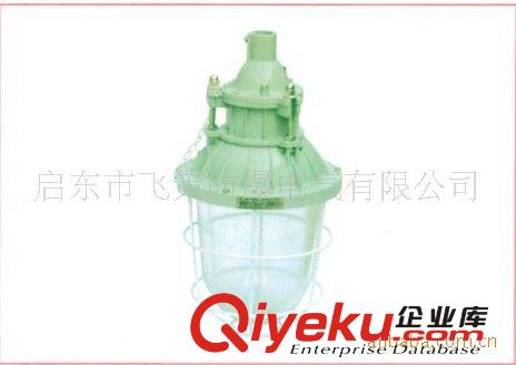 防爆節(jié)能熒光燈/節(jié)能熒光燈/防爆熒光燈原始圖片3