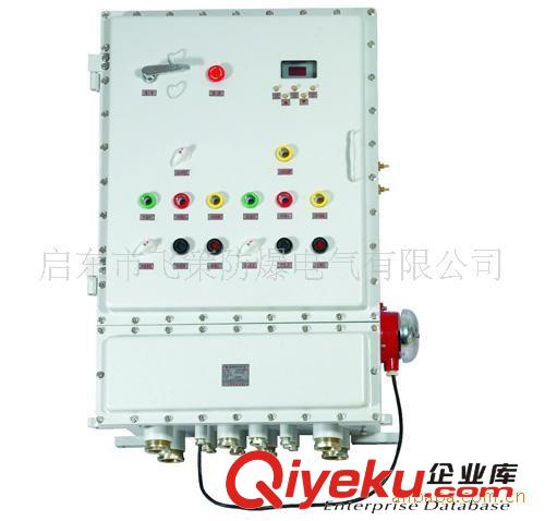 防爆配電箱/防爆動力配電柜/防爆照明柜/防爆防腐配電配原始圖片2