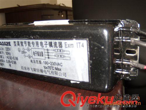 供應(yīng)飛策牌整流器/可定做整流器/防爆整流器/熒光燈整流器原始圖片2