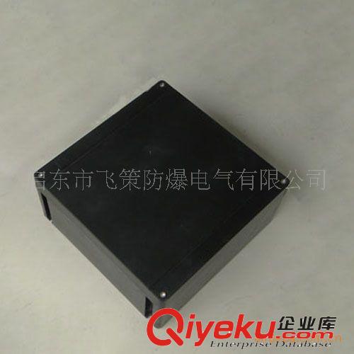 防爆防腐接線箱/防腐接線箱/防爆接線箱